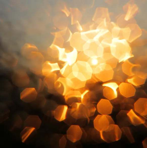 Ingrid Aguilar - Bilan personnel